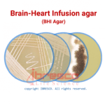 Brain Heart Infusion (BHI) Agar | آگار عصاره قلب و مغز ایبرسکو