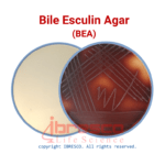 Bile Esculin Agar | بایل اسکولین آگار ایبرسکو