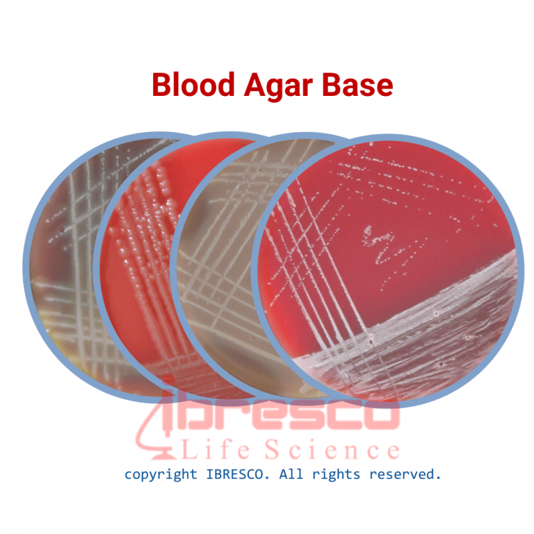 Blood-Agar-Base-1030x1030-1-768x768
