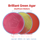 Brilliant Green Agar (BGA) | برلیانت گرین آگار ایبرسکو