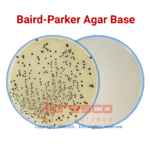 Baird-Parker Agar Base | برد-پارکر آگار بیس ایبرسکو