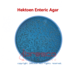 Hektoen Enteric Agar | هکتون انتریک آگار ایبرسکو