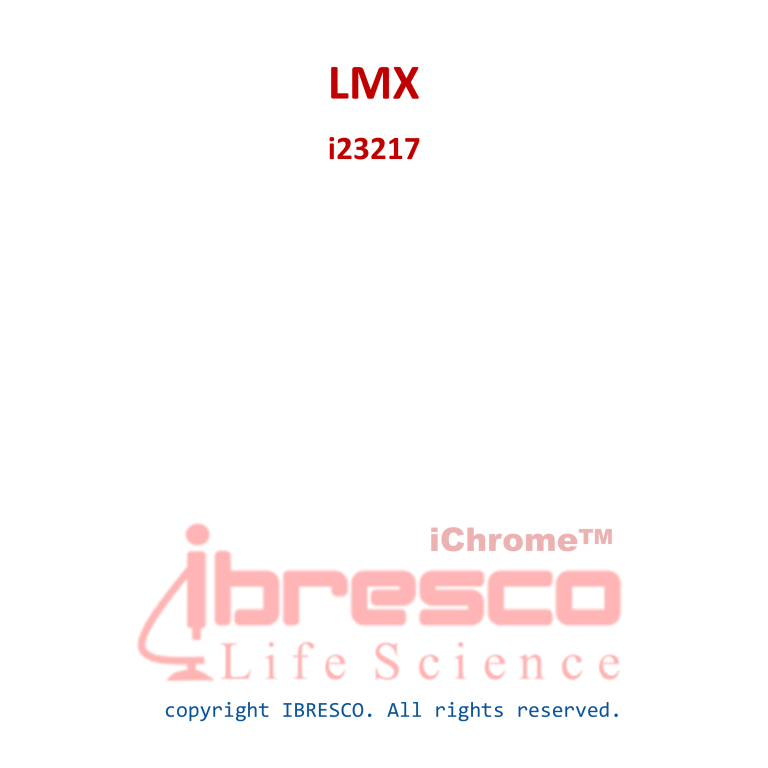 LMX-768x768