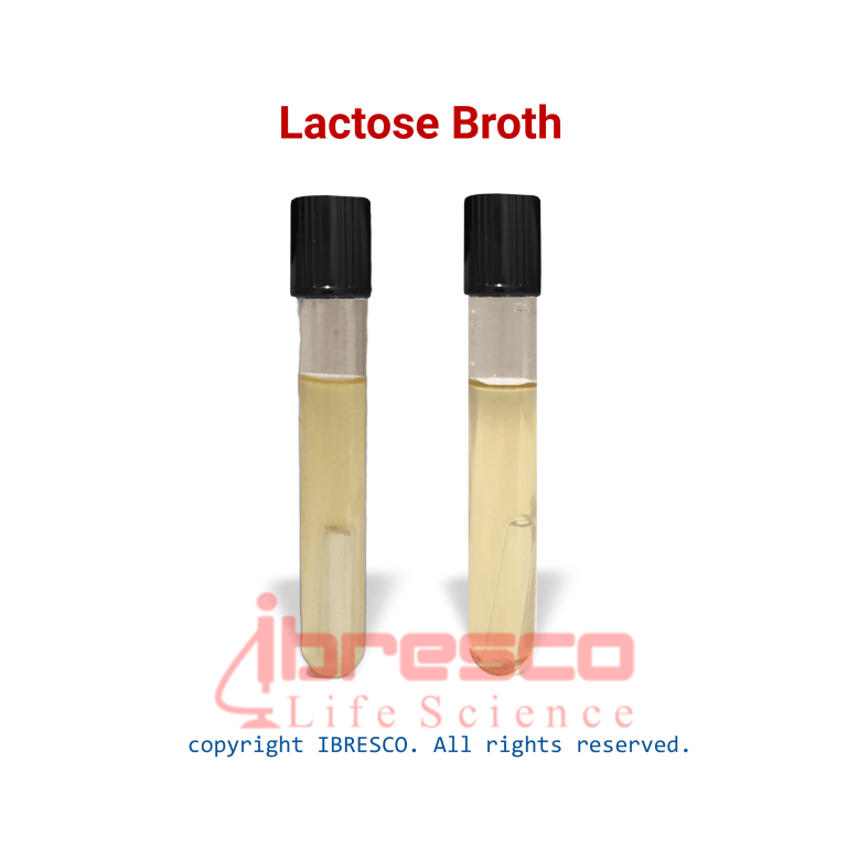 Lactose-Broth-ibresco-768x768