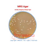 MRS Agar | ام آر اس آگار ایبرسکو