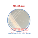 MY 40G Agar | ام وای 40 جی آگار ایبرسکو