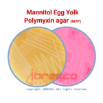 MYP Agar | ام وای پی آگار ایبرسکو