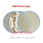 Malt Agar | مالت آگار ایبرسکو 