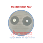 Mueller Hinton Agar | مولر هینتون آگارایبرسکو