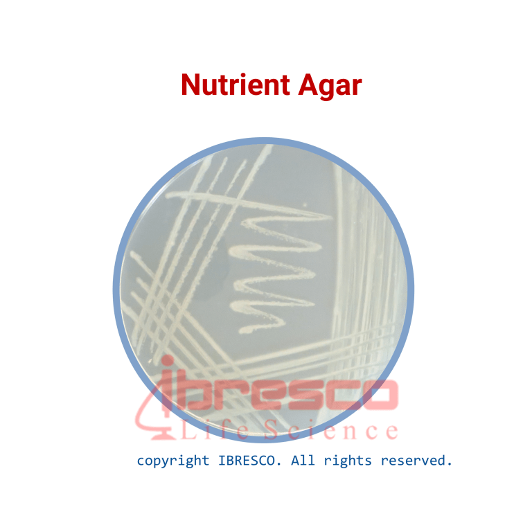 Nutrient-Agar-768x768