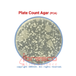Plate Count Agar (PCA) | پلیت کانت آگار (پی سی ای) ایبرسکو