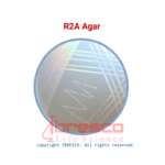 R2A Agar | آر 2 اِی آگار ایبرسکو 