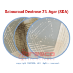 Sabouraud Dextrose 2% Agar (SDA) |سابرو دکستروز 2% آگار ایبرسکو