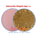 Salmonella-Shigella Agar | سالمونلا-شیگلا آگار ایبرسکو