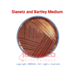 Slanetz & Bartley Medium | محیط اسلنتز و بارتلی ایبرسکو