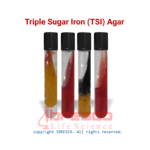 Triple Sugar Iron (TSI) Agar | تی اس آی ایبرسکو