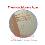 Thermoacidurans Agar | ترمواسیدورانس آگار ایبرسکو