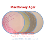 MacConkey Agar | مک کانکی آگار ایبرسکو