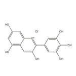 پارافين جامد پاتولوژي ایرانی