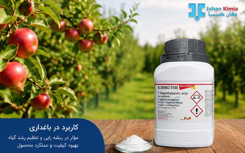 کاربرد 1-نفتیل استیک اسید در کشاورزی و باغ سیب