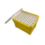 رک نوک زرد ایرانی