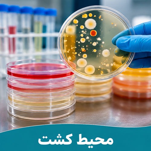 محیط کشت در آزمایشگاه