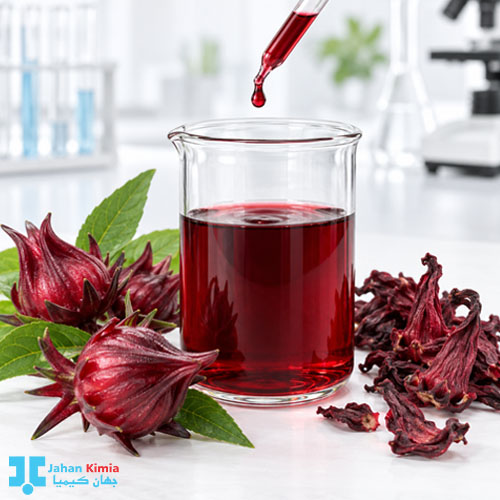 عصاره چای ترش کنار کاسبرگ‌های قرمز گیاه